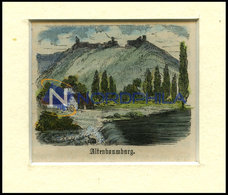 ALTENBAMBERG, Teilansicht Mit Burgruine, Kolorierter Holzstich Um 1880 - Lithographies