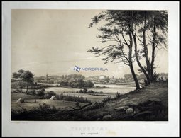 TRANEKJAER (Tranekjr Paa Langeland), Gesamtansicht, Lithographie Mit Tonplatte Von Alexander Nay Nach Wilhelm Petersen  - Litografía