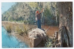 USA Louisania - Gathering Spanish Moss - Andere & Zonder Classificatie