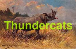 CPA ILLUSTRATEUR MULLER AUGUST MUNCHEN ARTIST SIGNED RHINO RHINOCEROS - Mueller, August - Munich