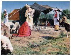 (PF 125) Afghanistan Nomad Village - Afganistán