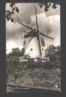 Rhenen - Panoramamolen - Moulin / Mill - Rhenen