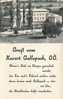 005061  Gruss Aus Gallspach - Institut Zeileis  1964 - Gallspach