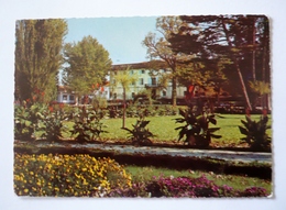 84 - Cpsm Grand  Format - SORGUES - Les Jardins - Sorgues