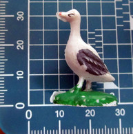 OCA MINIATURA HONG KONG - Oiseaux