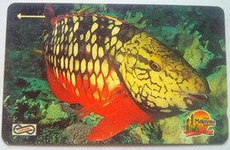 15MSAD Fish $20 - Malesia