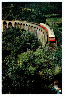 Cpsm Le Train 1105 Franchit Le Viaduc  De Chamborigaud - Autres & Non Classés