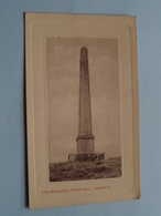 The Monument, WHITA HILL - LANGHOLM ( W. Taylor ) Anno 19?? ( Zie Foto ) ! - Dumfriesshire