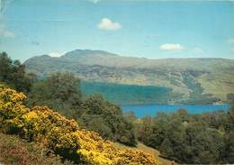 CPSM Loch Lomond And Loch Ben Lomond                                                   L2661 - Dunbartonshire