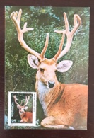 INDE Cerf Des Marais, Mammifere, Cerf, Yvert 494, Carte Maximum, Fdc, Premier Jour. - Wild