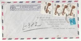 1955 INDIA FAO UN ITALY Airmail COVER To UNITED NATIONS USA Stamps - Lettres & Documents