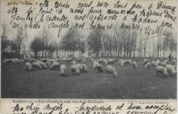 Koekelberg.  -   Parc Elisabeth Avec Vue De La Basilique. (14 X 9,1) Cm  -  Zie Scan. -  Dinant  1910  Naar  Waulsort - Koekelberg