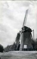 ARENDONK (Prov. Antwerpen) - Molen/moulin - De Smoutmolen Of De Toreman Met Twee Wieken Voor De Restauratie - Arendonk