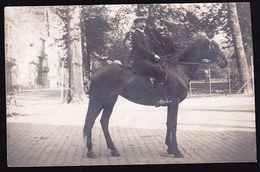 Vers 1910 BRUGES ( Astridpark )  -- Carte Photo CAVALIER ET SON CHEVAL - PAARD - HORSE - PFERD - CAVALLO - Antiche (ante 1900)