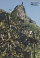 Ile Maurice,mauritius,ile Aux Cerfs,autrefois Ile De France,mascareignes,PIETER BOTH - Other & Unclassified