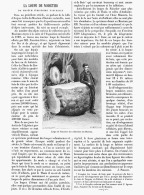 LA LOUPE DE NOISETIER Du  MUSEUM D'HISTOIRE NATURELLE   1894 - Other & Unclassified