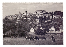 5238 HACHENBURG, Ortsansicht 1964 - Hachenburg