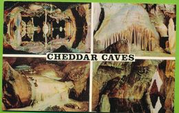 CHEDDAR CAVES - Cheddar