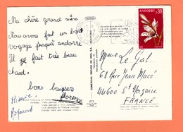 ANDORRE N° 229 LIS SUR CARTE POSTALE D'ARINSAL DE 1973 - Briefe U. Dokumente