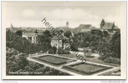 Delitzsch - Rosengarten - Rosarium Im Kurpark- Foto-AK - Delitzsch