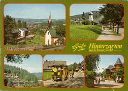 CP De HINTERZARTEN " Grusse Aus Hinterzarten Im Schwarzwald " - Hinterzarten