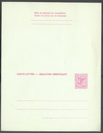 E.P. Carte-lettre 3Fr. Lion Non Découpée/perforée Et Ouverte.  TB état Et RR.   - 13152 - Cartas-Letras