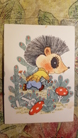 OLD USSR Postcard  - "Hedgehog" By Golubev -   Champignon  - MUSHROOM 1968 Hedgehog - Mushrooms