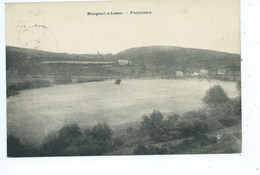 Neupont Panorama - Wellin