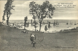 DOUARNENEZL   Le Grand Port Et La Baie, La Prairie Des Plomarchs    -- Plouhinec 207                                  -- - Douarnenez