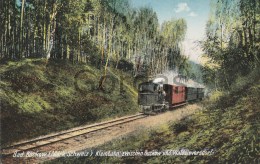 Germany - Bad Buckow - Kleinbahn Zwischen Buckow Und Waldsieversdorf - Buckow