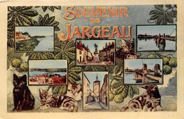 45-JARGEAU-SOUVENIR DE JARGEAU MULTIVUES - Jargeau