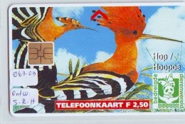 NEDERLAND CHIP TELEFOONKAART CRD-063.03 * OISEAU * BIRD * VOGEL * Telecarte A PUCE PAYS-BAS * NL ONGEBRUIKT * MINT - Gallinaceans & Pheasants