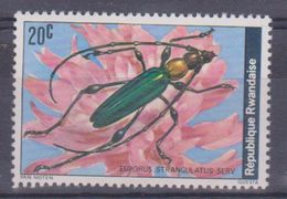 1978 Rwanda - Coleotteri - Used Stamps