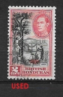 BRITISH HONDURAS    1938 -1947 King George V  And Life Wild Life Other  Used - British Honduras (...-1970)