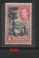 BRITISH HONDURAS    1938 -1947 King George V  And Life Wild Life Other  Mnh - British Honduras (...-1970)