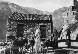 Delcampe - CORSE  20    TYPES CORSES - Corse