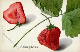 Landwirtschaft Erdbeeren Sharpless I-II Paysans - Exposiciones