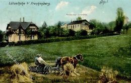 Landwirtschaft Frankenberg (O9262) Pferdegespann 1916 I-II Paysans - Esposizioni