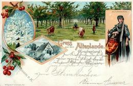 Landwirtschaft Steinkirchen (2162) Kirschernte Lithographie 1897 I-II Paysans - Esposizioni