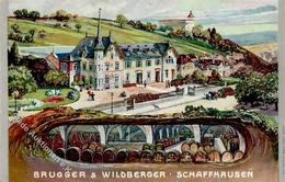 Wein Schaffhausen (8200) Schweiz Brugger & Wildberger 1907 I-II Vigne - Esposizioni
