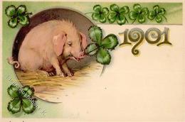 Jahreszahl 1901 Schwein  Lithographie I-II Cochon - Ohne Zuordnung