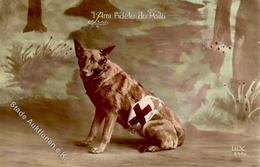 SCHÄFERHUND - Als Rot-Kreuz-Hund I Chien - Dogs