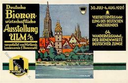 Biene Ulm (7900) Deutsche Bienenwirtschaftliche Ausstellung  I-II Expo - Sonstige & Ohne Zuordnung