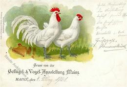 Huhn Mainz (6500) Ramelsloher Ausstellung  1901 I-II Expo - Altri & Non Classificati