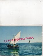 Delcampe - AFRIQUE - TUNISIE- DJERBA - JERBA- VOILE - Tunisia