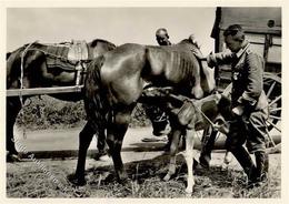 SS WK II Unsere Waffen SS Auch Ein Kriegskind Foto AK I-II - Guerra 1939-45