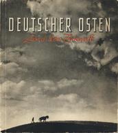 Buch WK II Deutscher Osten Land Der Zukunft Hoffmann, Heinrich 1942 Verlag Heinrich Hoffmann 143 Seiten Sehr Viele Abbil - Weltkrieg 1939-45