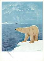Hapag Lloyd Polarfahrten Eisbär Künstlerkarte I-II - Flieger