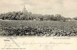 Kolonien Kiautschou Peking Am Lotusteich Stpl. Peking 13.7.04 I-II (Stauchung) Colonies - Storia