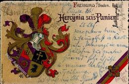 Studentika Freiburg (7800) Hercynia Sei's Panier 1905 I-II - Non Classificati
